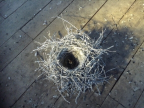 Dream (Nest) - 2015 - resin/zinc - cm d/100 - Castello di Calcea (AT)