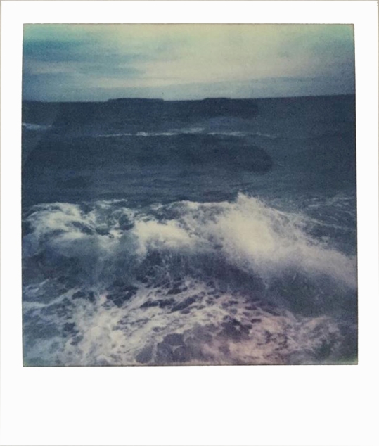 Polaroid, 2016